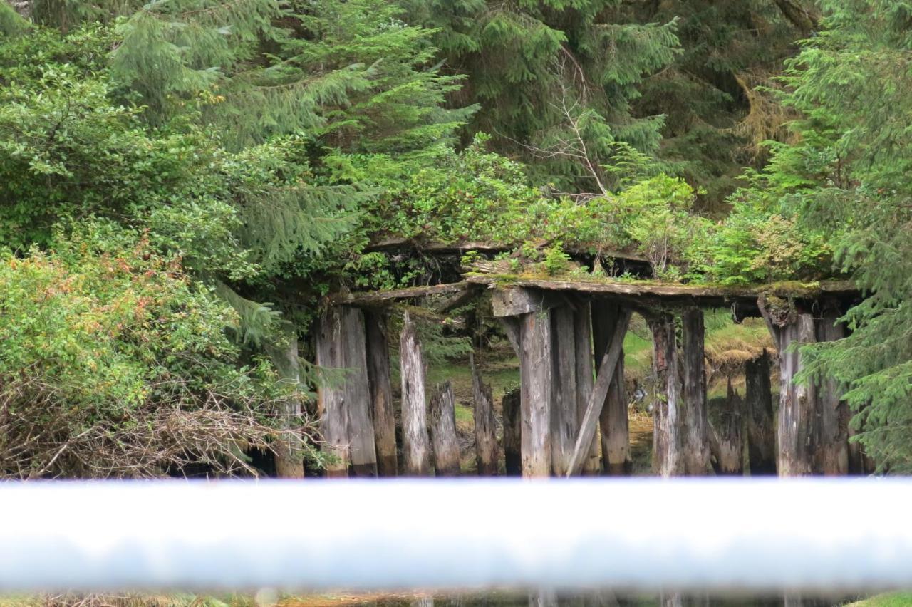 A Shack In The Woods Villa พอร์ตเรนฟริว ภายนอก รูปภาพ